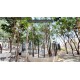 RESIDENCIAL REAL ALMALFI - BANANOVA