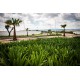 RESIDENCIAL CD MADEIRA YUCATÁN